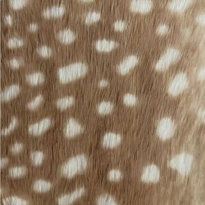 Meet your Posher, Natasha